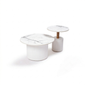 Everbloom Nesting Coffee Table Set.